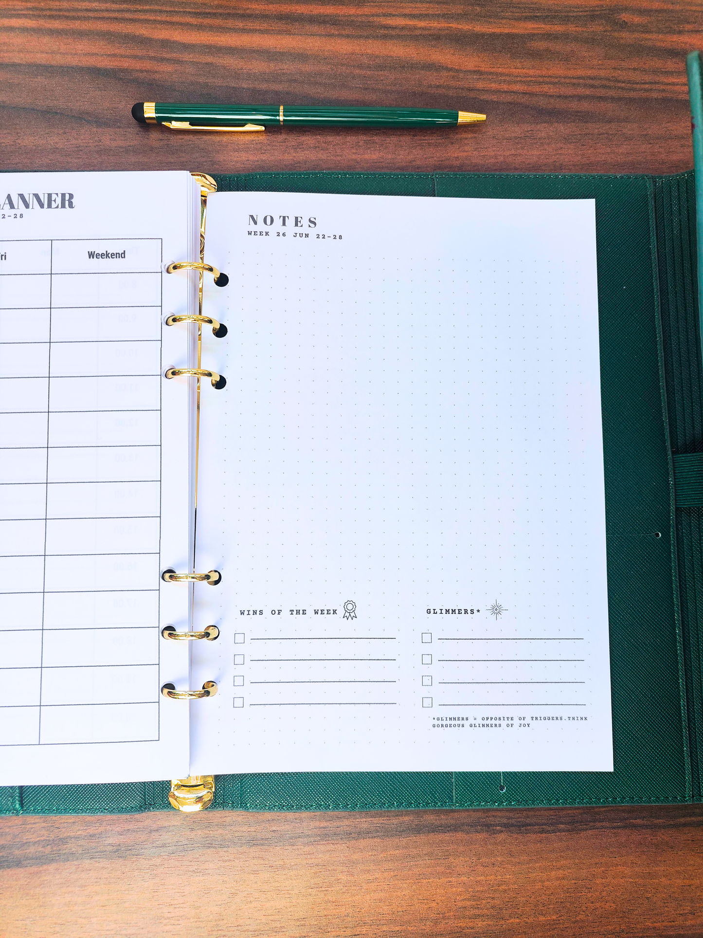 A5 6 Month Dated Planner Insert